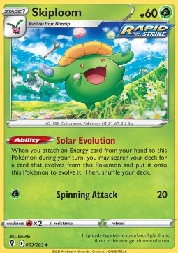 EVS 003/203 Skiploom