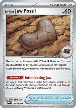 POR 068/088 Antique Jaw Fossil