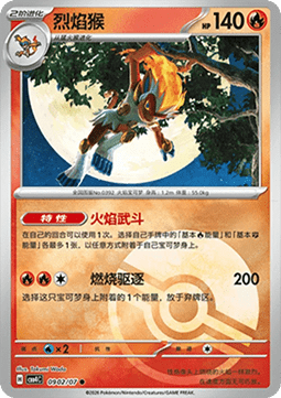 CBB4C 0902/07 Infernape