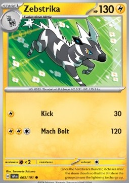SSP 063/191 Zebstrika